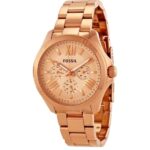 Ročna ura Fosil JR8104 - slika 13